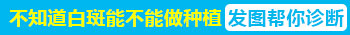 白癜风一年没有变化应该如何治疗好