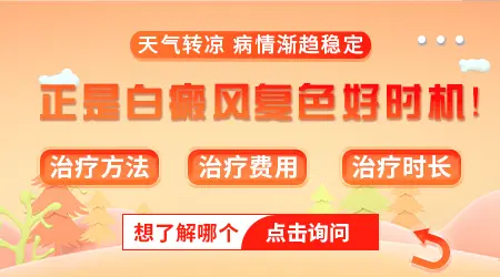 照311光疗白癜风多久可以长出黑点